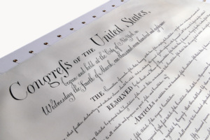 Patrigraphica Bill of Rights Thumbnail