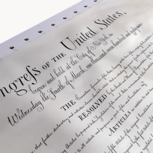 Patrigraphica Bill of Rights Thumbnail