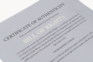 Patrigraphica Bill of Rights Thumbnail