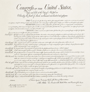 Patrigraphica Bill of Rights