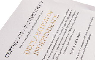 Declaration of Independence by Patrigraphica