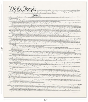 United States Constitution - Common Size
