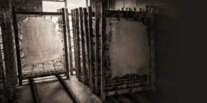 Parchment drying